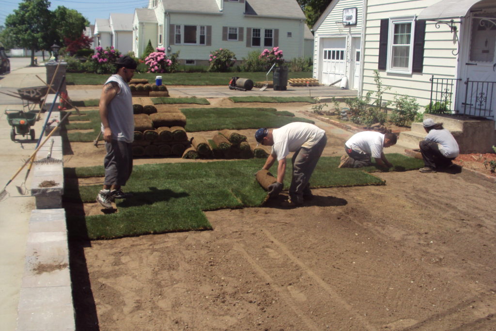 Our Story to Topline Landscaping and Construction